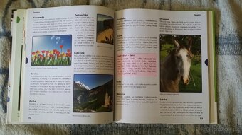 Chci to vědět : objasnění každodenních dětských záhad - 5