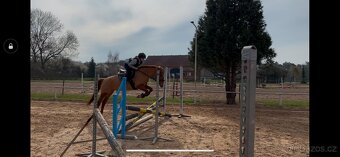Pony B 8 let , i pro méně zkušené dítě - 5