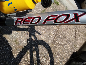 red fox - 5