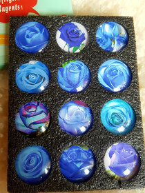 sada magnetky modré růže dárek dekorace - 5