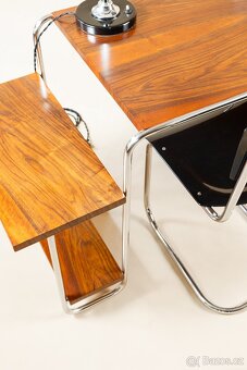 PSACÍ STŮL-FUNKCIONALISMUS - 5