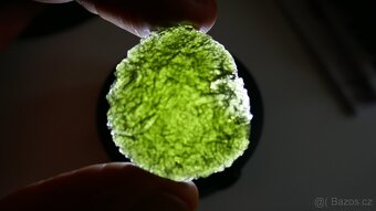 VLTAVÍN DISK Z CHLUMU 14G - 5