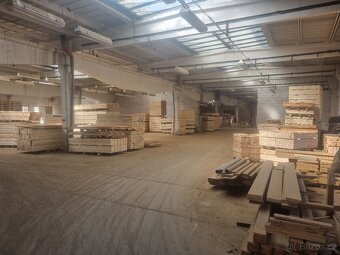 Prodej výrobního areálu v Písku – 13 000 m² - 5