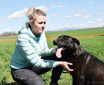 ALLEGRA K ADOPCI-2 ROKY, MILÁ,VDĚČNÁ,ODDANÁ - 5