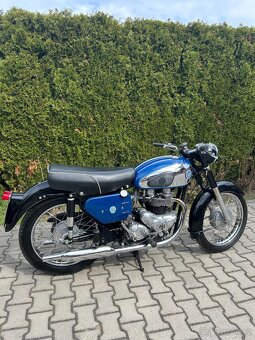 1961 AJS 650 31 CSR De Luxe - 5