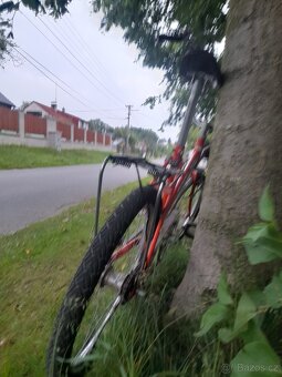 Sobi 20 - 5