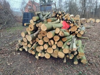 Třešeň - dřevo na uzení - 5