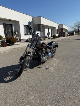 Harley Davidson springer Evolution 1340 - 5
