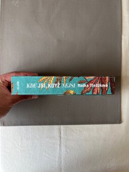 Kde jsi, když nejsi - Radka Třeštíková - 5