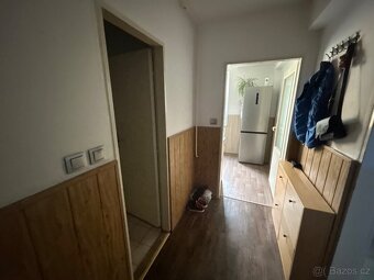 Pronajmu byt - 5