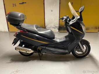 Dily Honda S-wing 125 - 5