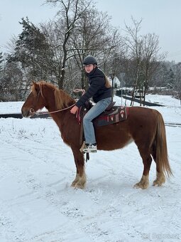 WPBR kobyla i pro začátečníky - 5