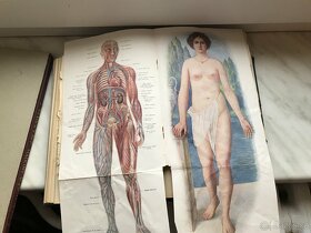 Domací lékařka - 5