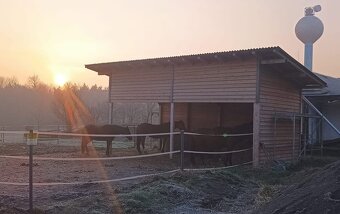 Boxové ustájení - 5