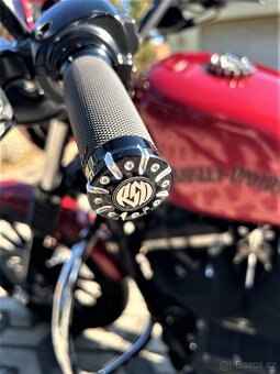 Harley - Davidson Sportster Iron 883 - 5