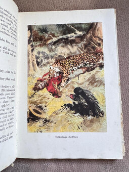Strýček indián (A. V. Frič), il. Zdeněk Burian - 5