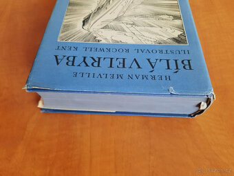 Bílá velryba - 5