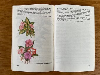 Starší knihy -Zelený domov, Pracujeme se dřevem - 5