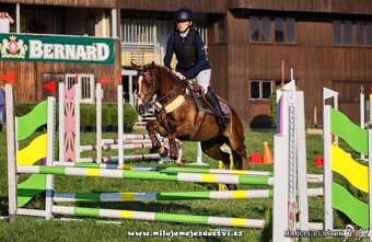 Pony B do sportu - 5