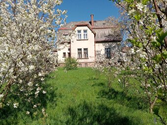 Jedinečná příležitost pro movitého investora. - 5