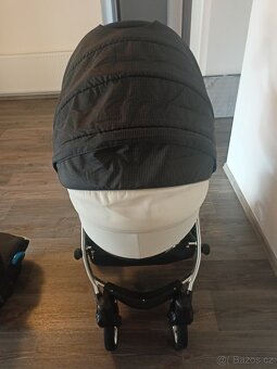 Camarelo alicante - 5