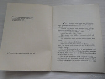 Knihy pro děti a mládež - 5