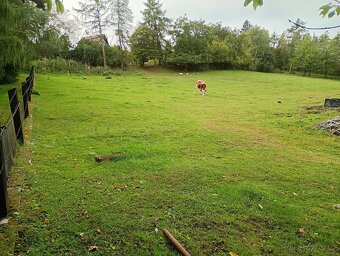 Zahrada v intravilánu obce, výměra: 7.428 m2. - 5