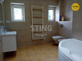 Pronájem bytu 1+1 ve Svratce, 134584 - 5