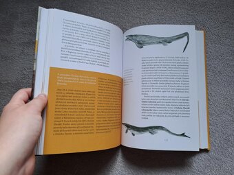 Kniha Dinosauři v Čechách - 5