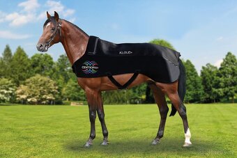 Pronájem magnetické deky pro koně i jezdce - 5