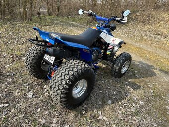 Yamaha Warrior 350 - 5