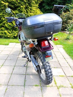 Kawasaki KLE 500 25 kW - 5