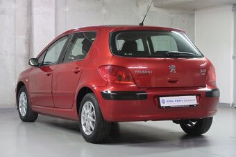 Peugeot 307 - 5