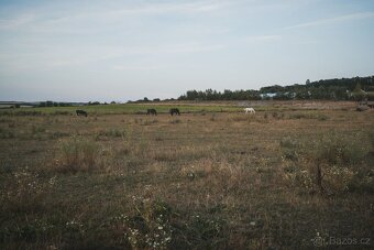 ustájení - 5
