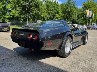 Legendární Chevrolet Corvette z roku 1981 - 5