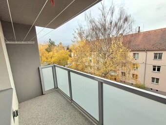 Pronájem bytu 2+1 s balkonem - 5