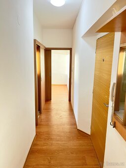 Pronájem bytu Bzenec-Kolonie - 5