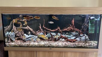 Akvarijní set Juwel Rio 240 dub světlý - 5