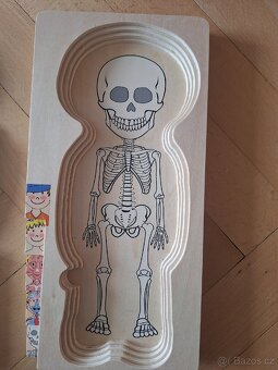Dřevěné puzzle lidské tělo - 5