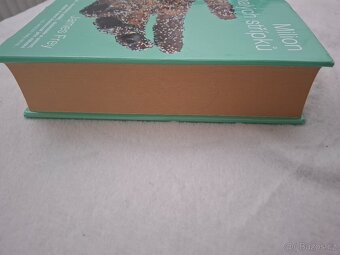 Milion malých střípků - James Frey - 5