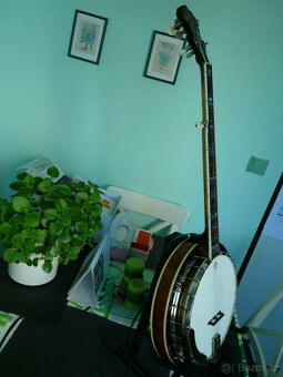 Pětistrunné banjo - 5
