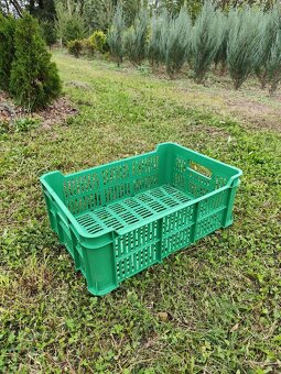 Plastová přepravka OZ15 zelená - 5