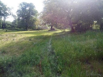 Na prodej krásný pozemek. - 5