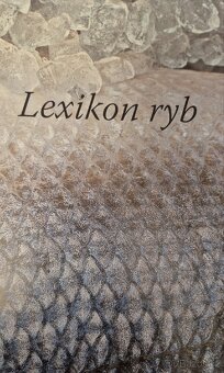 Ryby a mořské plody - 5