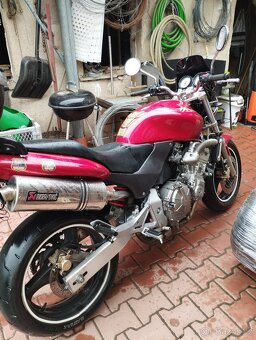 Honda Hornet - 5