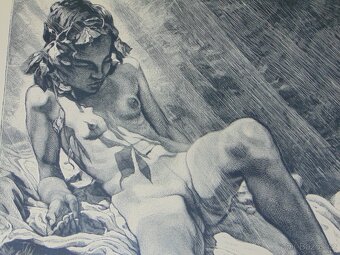 Obraz akt grafika - 5