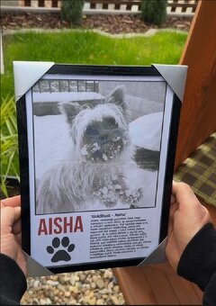 Obraz - Luca Brassi10x | Koláž - Vánoční AKCE 🎄 - 5