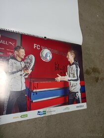 Fc Viktoria Plzeň - 5