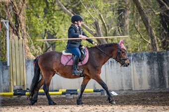 Hodná pony klisna kat. A - 5