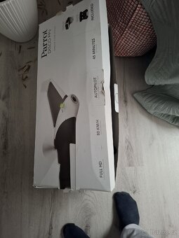 Parrot Disco - 5